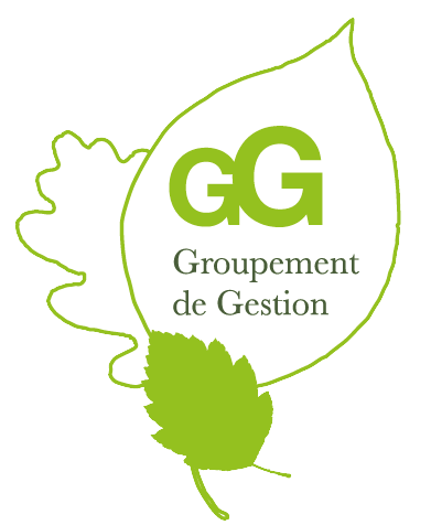 Groupementdegestion